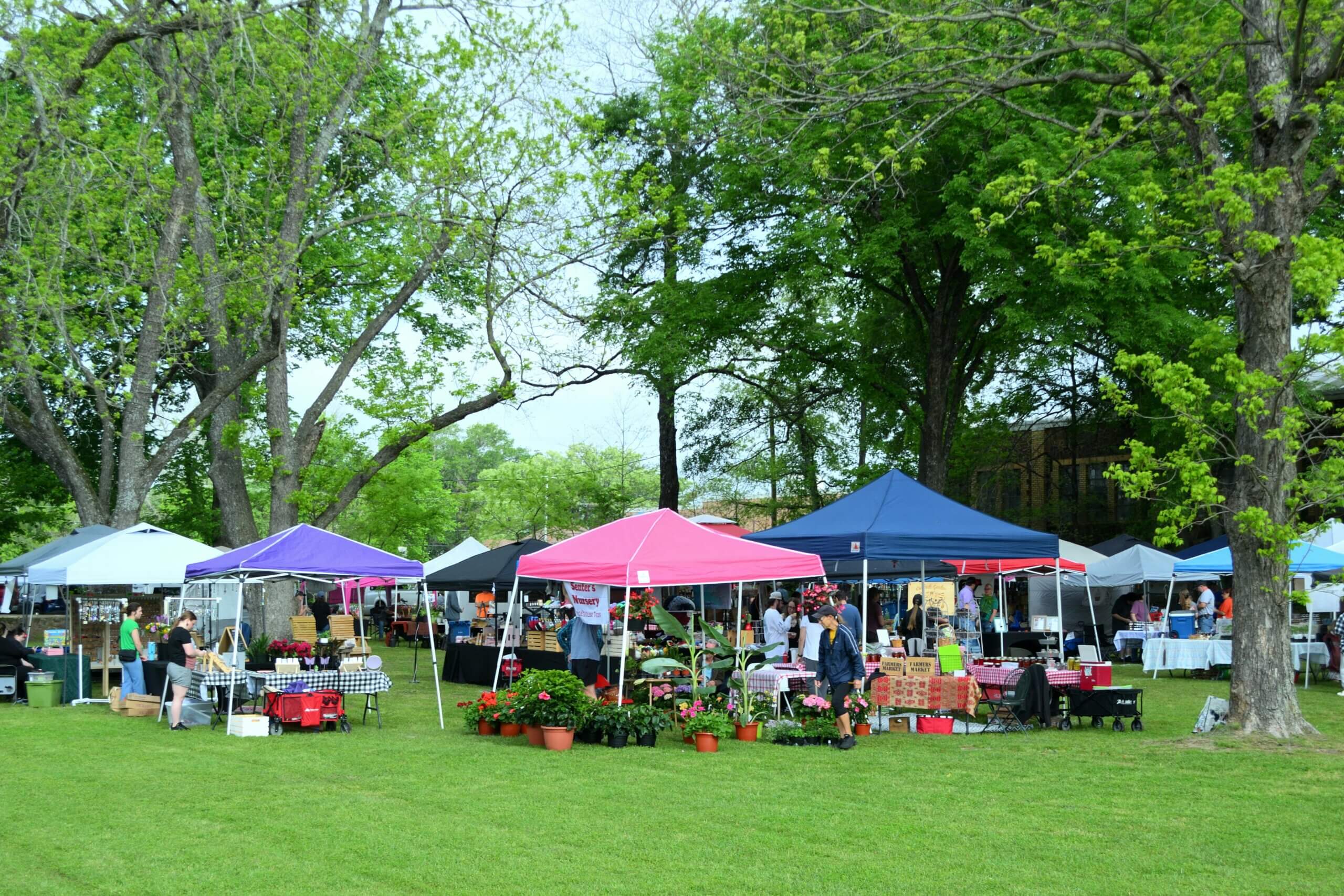 A bustling outdoor market with colorful tents and visitors in Whitehouse, Texas.